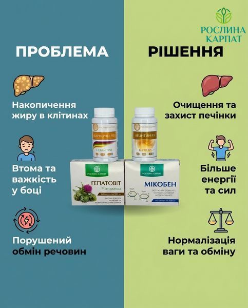 Комплексна програма при жировому гепатозі &ndash; Гепатовіт, Лецитин, Мікобен, Карнітин Рослина Карпат 484738 484738111 фото