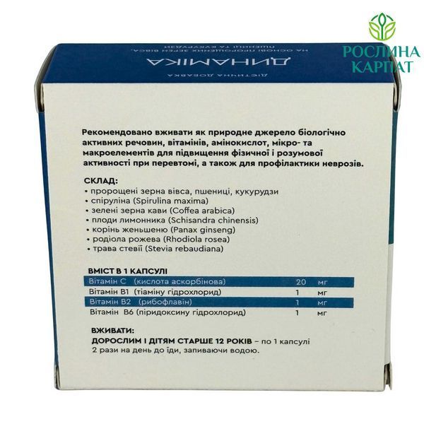 Choice Програма відновлення енергії та детоксу - Хлорофіл, Multi Bran, Динаміка 2 уп Чойс 485518111 фото