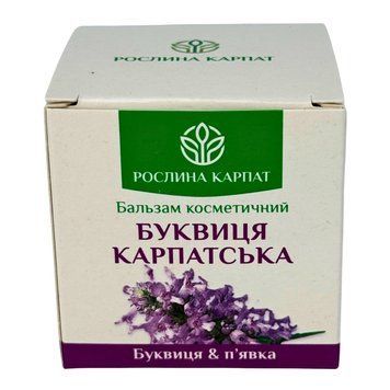 Бальзам Буквиця Карпатська &ndash; природний догляд при варикозі Рослина Карпат 484769 484769111 фото