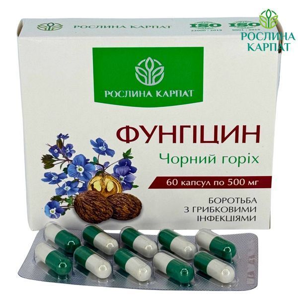 Фунгіцин 60 кап. &ndash; ефективний природний антимікотик Рослина Карпат 484725 484725111 фото