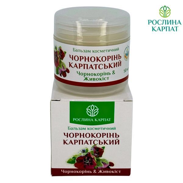 Бальзам Чорнокорінь Карпатський &ndash; натуральний помічник для здоров'я суглобів Рослина Карпат 484776 484776111 фото