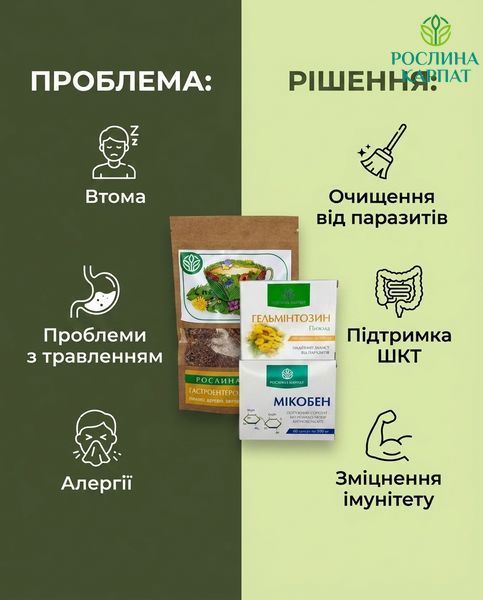 Комплексна антипаразитарна програма для дорослих &ndash; Гастроентерологічний збір, Гельмінтозин, Мікобен Рослина Карпат 484770 484770111 фото
