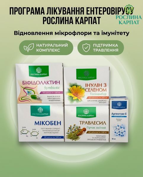 Програма лікування ентеровірусу - Аргентум, Біфідолактин, Інулін, Травлесил, Мікобен Рослина Карпат 546642 546642 фото