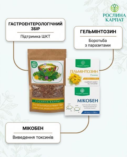 Комплексна антипаразитарна програма для дорослих &ndash; Гастроентерологічний збір, Гельмінтозин, Мікобен Рослина Карпат 484770 484770111 фото