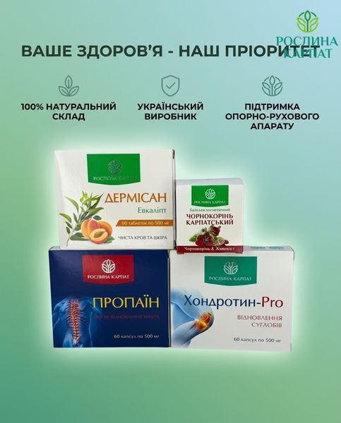Програма Здорові суглоби &ndash; Дермісан, Чорнокорінь, Пропаїн, Хондротин Рослина Карпат 484759 484759111 фото