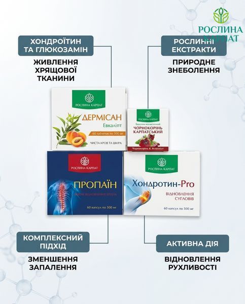 Програма Здорові суглоби &ndash; Дермісан, Чорнокорінь, Пропаїн, Хондротин Рослина Карпат 484759 484759111 фото