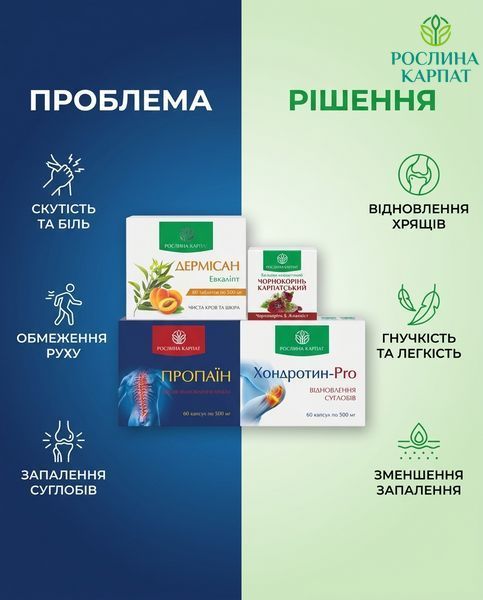 Програма Здорові суглоби &ndash; Дермісан, Чорнокорінь, Пропаїн, Хондротин Рослина Карпат 484759 484759111 фото