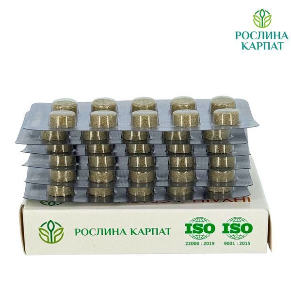 Інулін з Селеном &ndash; природна підтримка при цукровому діабеті Рослина Карпат 484733 484733111 фото