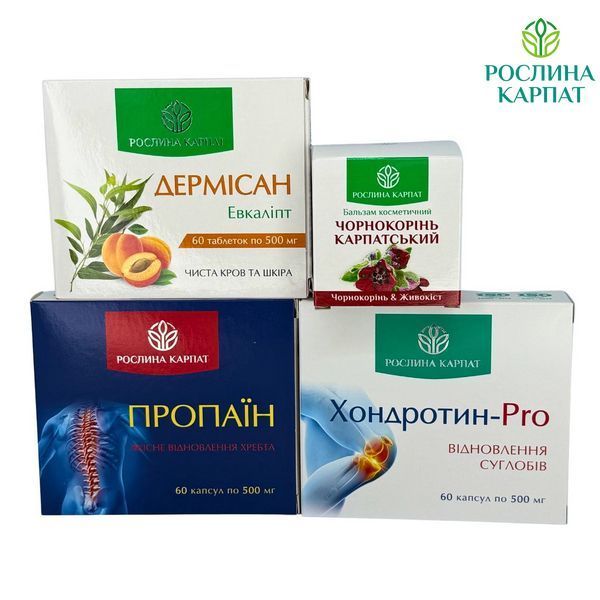 Програма Здорові суглоби &ndash; Дермісан, Чорнокорінь, Пропаїн, Хондротин Рослина Карпат 484759 484759111 фото