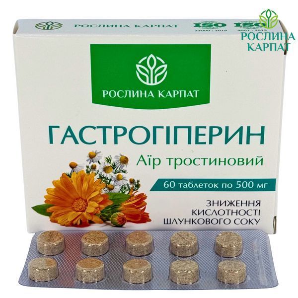 Гастрогіперин &ndash; природне рішення для здоров&rsquo;я шлунка та нормалізації кислотності Рослина Карпат 484748 484748111 фото