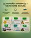 Програма комплексного очищення організму - Мікобен, Фунгіцин, Лімфорен, Гельмінтозин, Гепатовіт, Дермісан Рослина Карпат 485500 485500111 фото 6