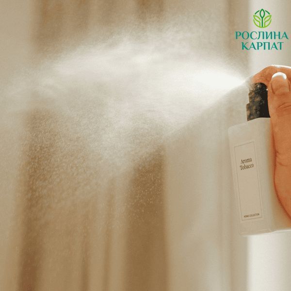 Choice Аромат для туалетної кімнати Aroma Tobacco 125 мл Чойс 485189111 фото