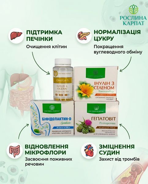 Програма при цукровому діабеті - Інулін з селен, Біфідолактин, Гепатовіт, Омега-3 Рослина Карпат 485493 485493111 фото