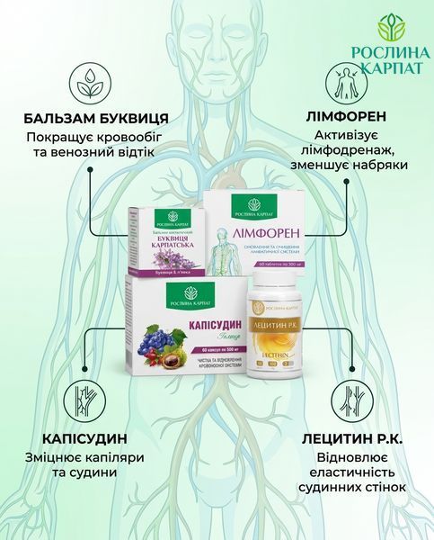 Програма для здоров&rsquo;я вен - Буквиця, Лімфорен, Капісудин, Лецитин 2уп. Рослина Карпат 546640 546640 фото