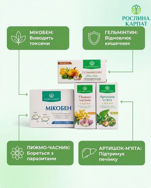 Комплексна антипаразитарна програма для дітей &ndash; Мікобен, Сироп Пижмо, Гельмінтин, Сироп Артишок Рослина Карпат 484774 484774111 фото