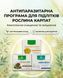 Комплексна антипаразитарна програма для підлітків &ndash; Мікобен, Гельмінтозин, Гепатовіт Рослина Карпат 484773 484773111 фото 1